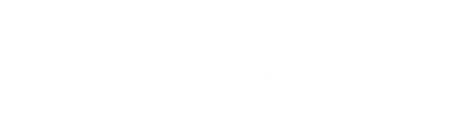 Intellect